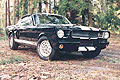 Dave McDonald's 66 Shelby GT350