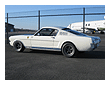 Mark Hovander's 65 Shelby GT350
